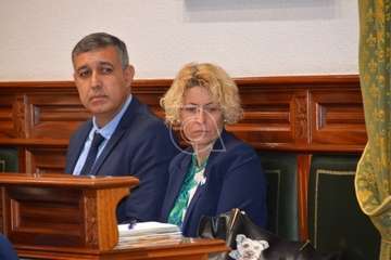 Pleno ordinario de febrero de 2020 (Foto TA)